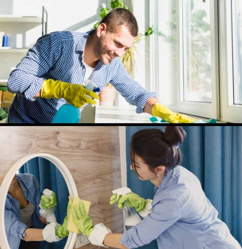 הניקיון הספרותי